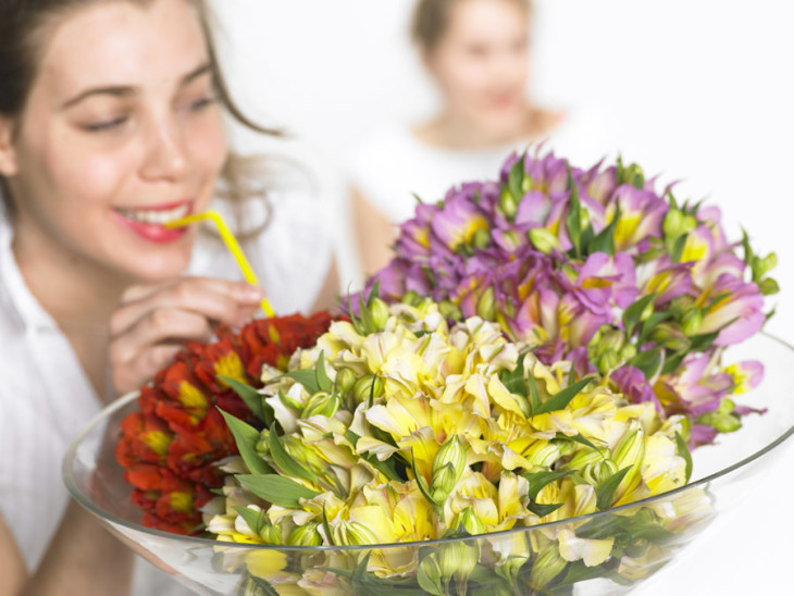 Alstroemeria: fiore del mese dal 25 aprile al 29 maggio 2016